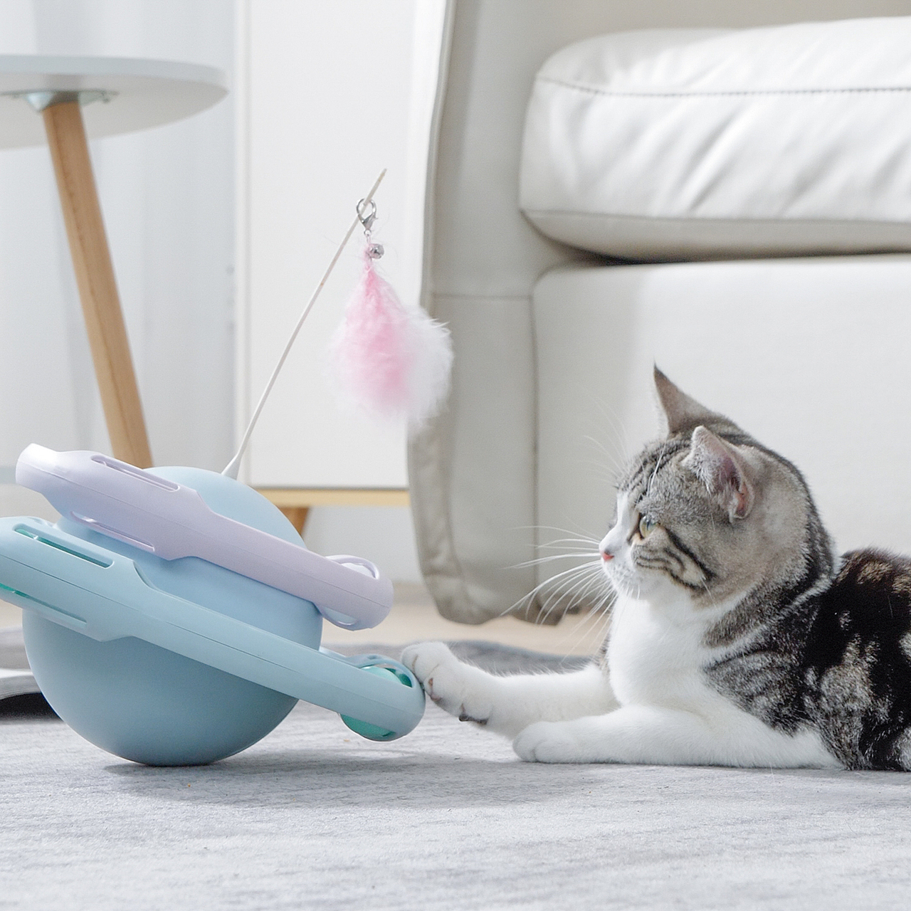宠物用品逗猫棒猫咪玩具