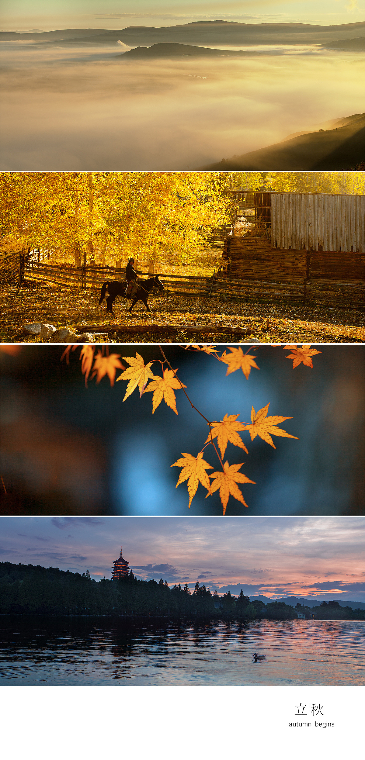 山河岁月，人间时节。（图ZMTM1NzY2NDA0） - 风光摄影 - 站酷设计师陈帆fotochen原创素材 - 站酷ZCOOL