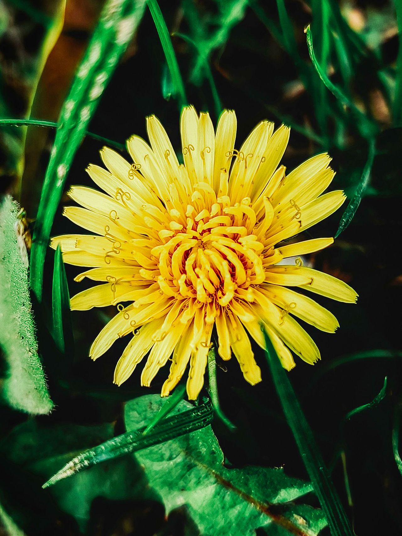 春天的色彩（图ZMzY0Mjg0NDQ4） - 风光摄影 - 站酷设计师ThisUndefined原创素材 - 站酷ZCOOL