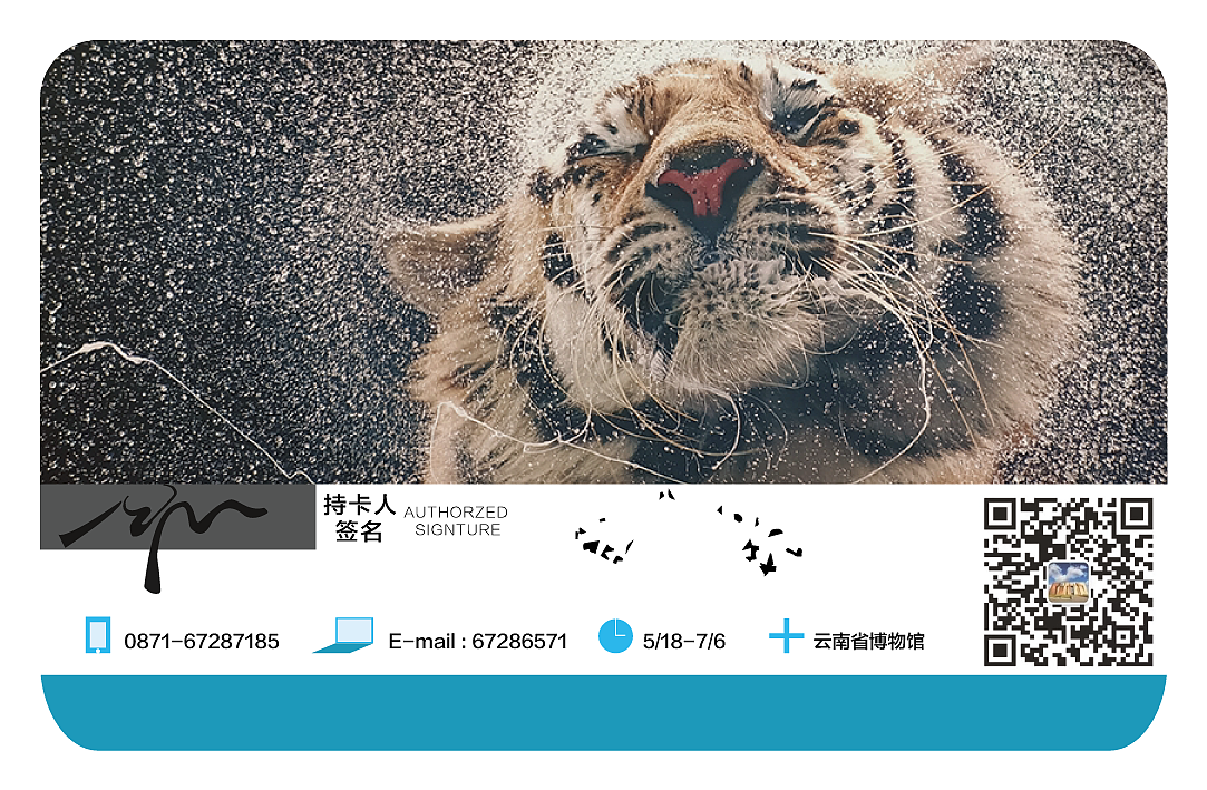 消失的世界~别让孩子们只能在照片中见到它们