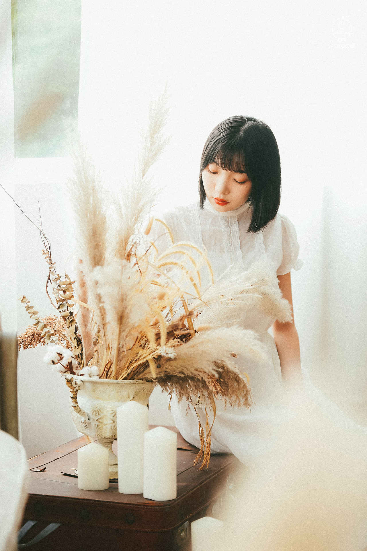 与芋头拍摄影基地