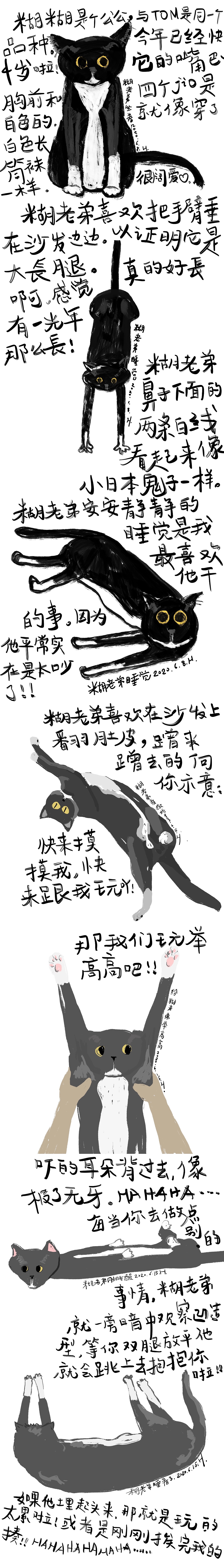 糊糊是只猫（图ZMjM3MDM0OTYw） - 概念设定 - 站酷设计师吴欢欢more原创素材 - 站酷ZCOOL