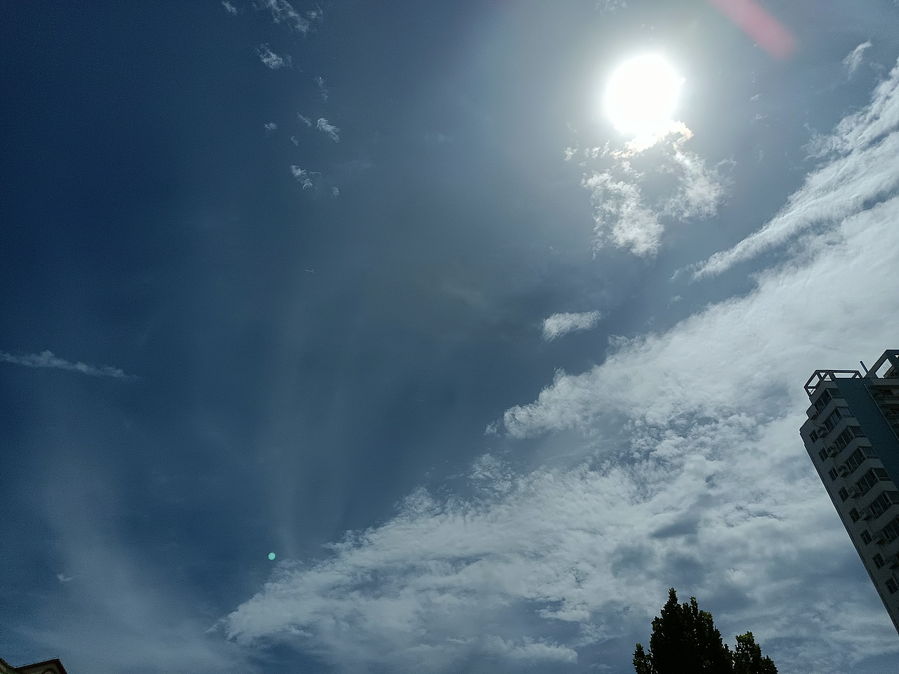 ₍˄·͈༝·͈˄*₎◞ ̑̑