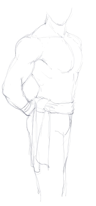 今天绘画了一些肌肉图与大家分享