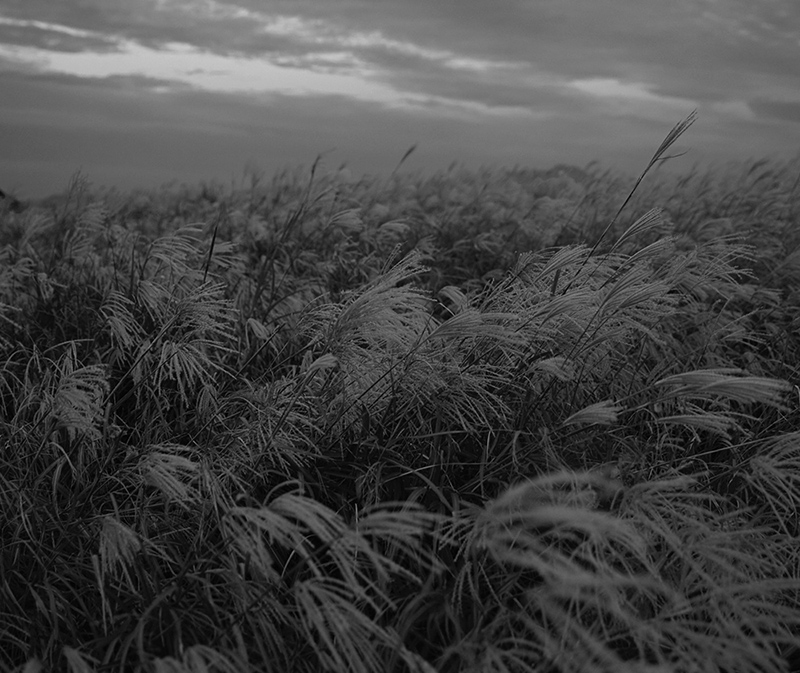 MEHO1215的个人主页（背景预览） - 主页背景设置 - 站酷设计师MEHO1215原创素材 - 站酷ZCOOL