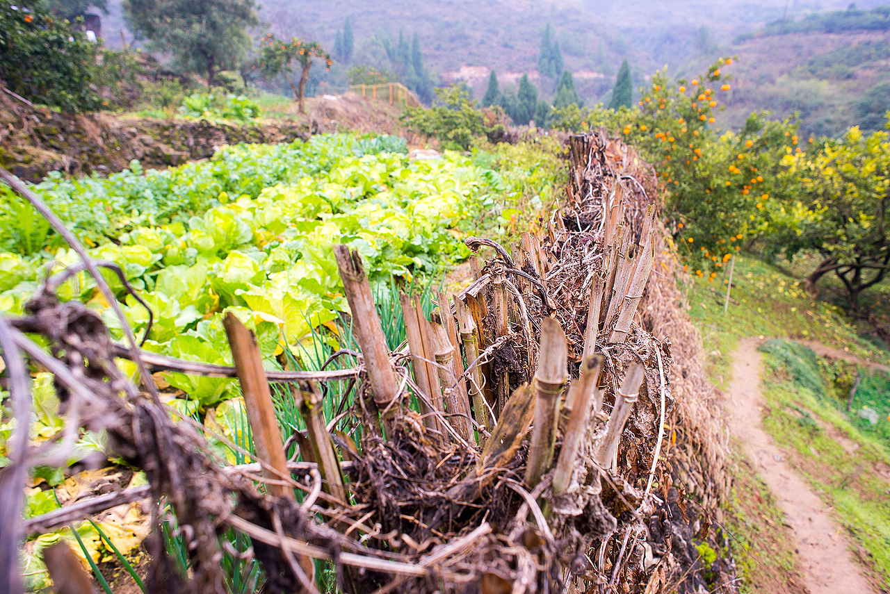 刻骨的乡愁，浓浓的思恋——之年味都去哪儿了？（图ZNjg4MTc5NDQ=） - 风光摄影 - 站酷设计师宋生生原创素材 - 站酷ZCOOL