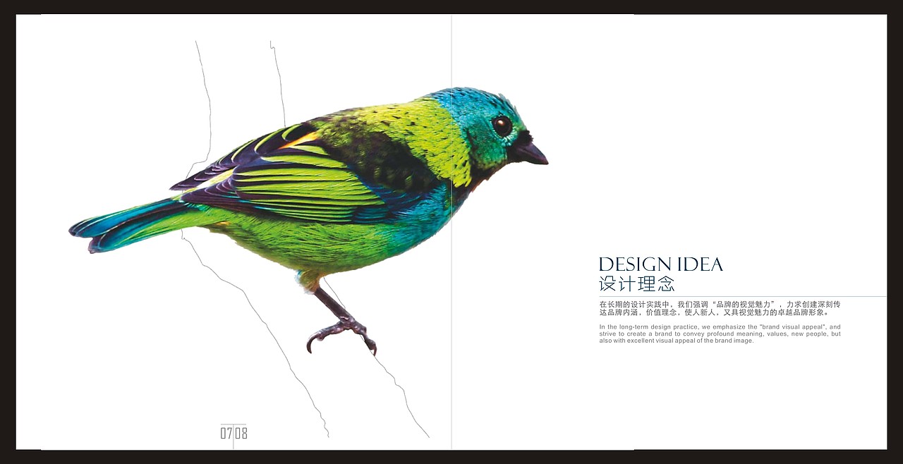 毕业后在公司设计的画册