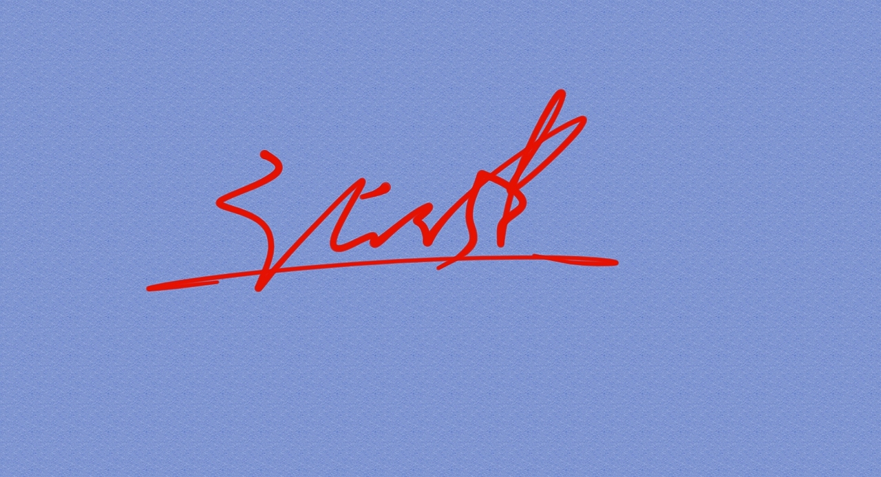 张健的签名一款丨艺术签名丨签名设计丨签名怎么写好看