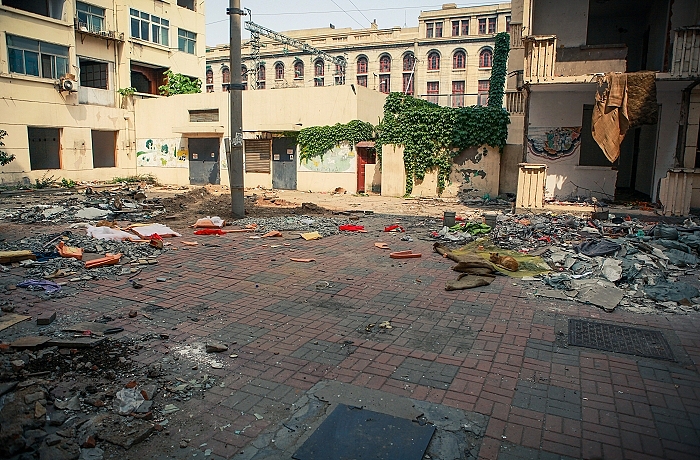 废墟里的猫（图ZNTQ5NjAyMA==） - 宠物摄影 - 站酷设计师达尔达尼洋原创素材 - 站酷ZCOOL