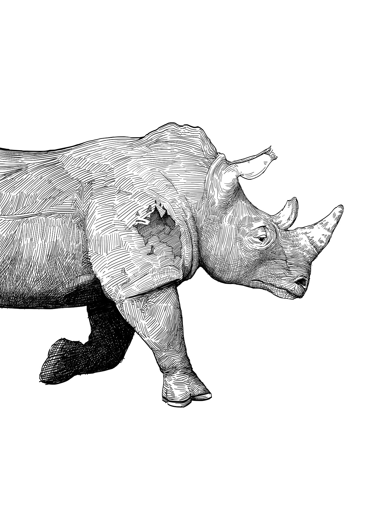 速写|纯艺术|绘画|剑齿虎vzxcg_原创作品-站酷zcool