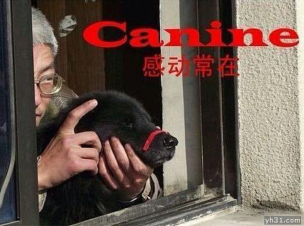 佳能感动常在（个人主页-ZNjA1NTg4MzI=） - IP形象 - 站酷设计师小生爱吃鸡原创素材 - 站酷ZCOOL
