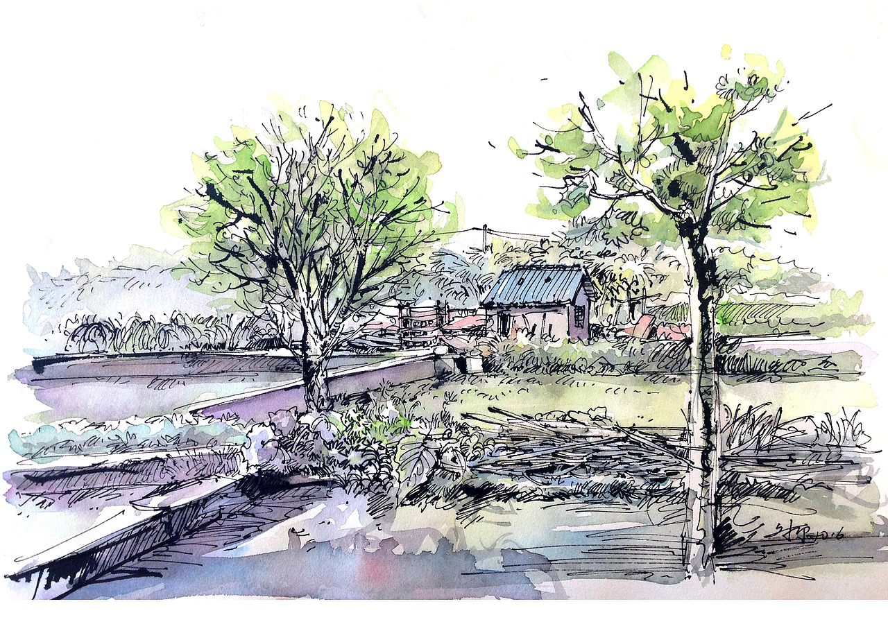 大理周末写生【文抑】