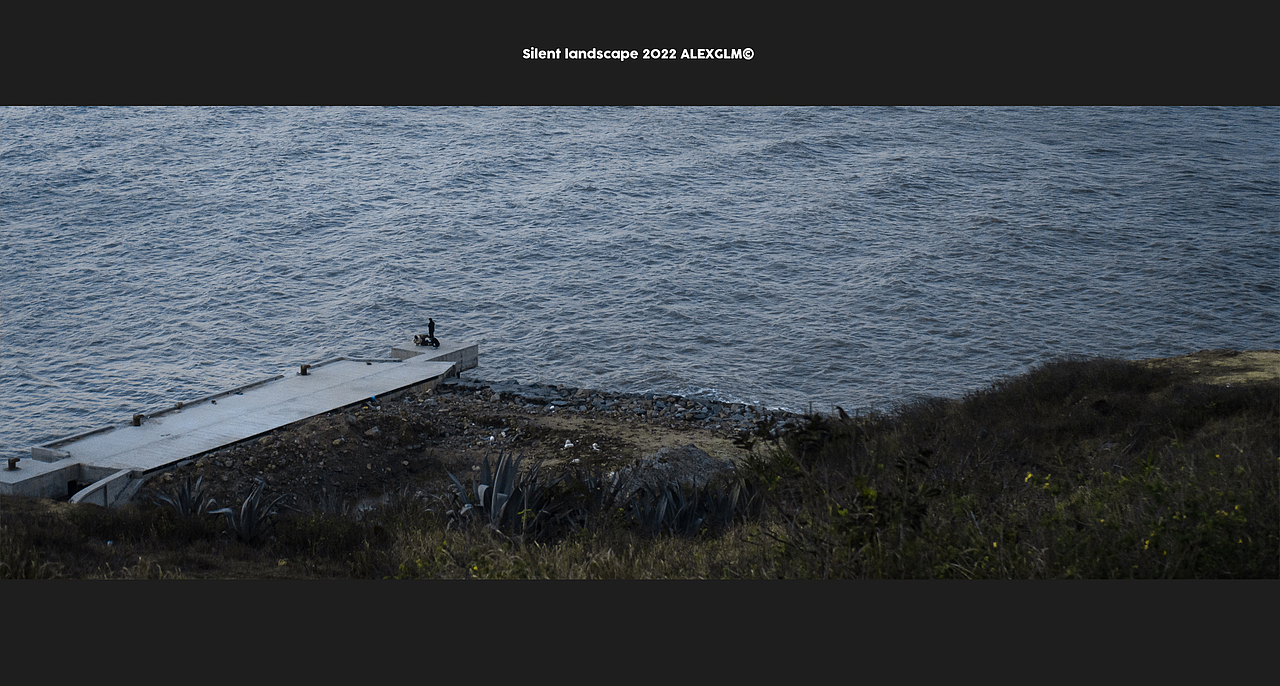 沉默的风景 SILENT LANDSCAPE