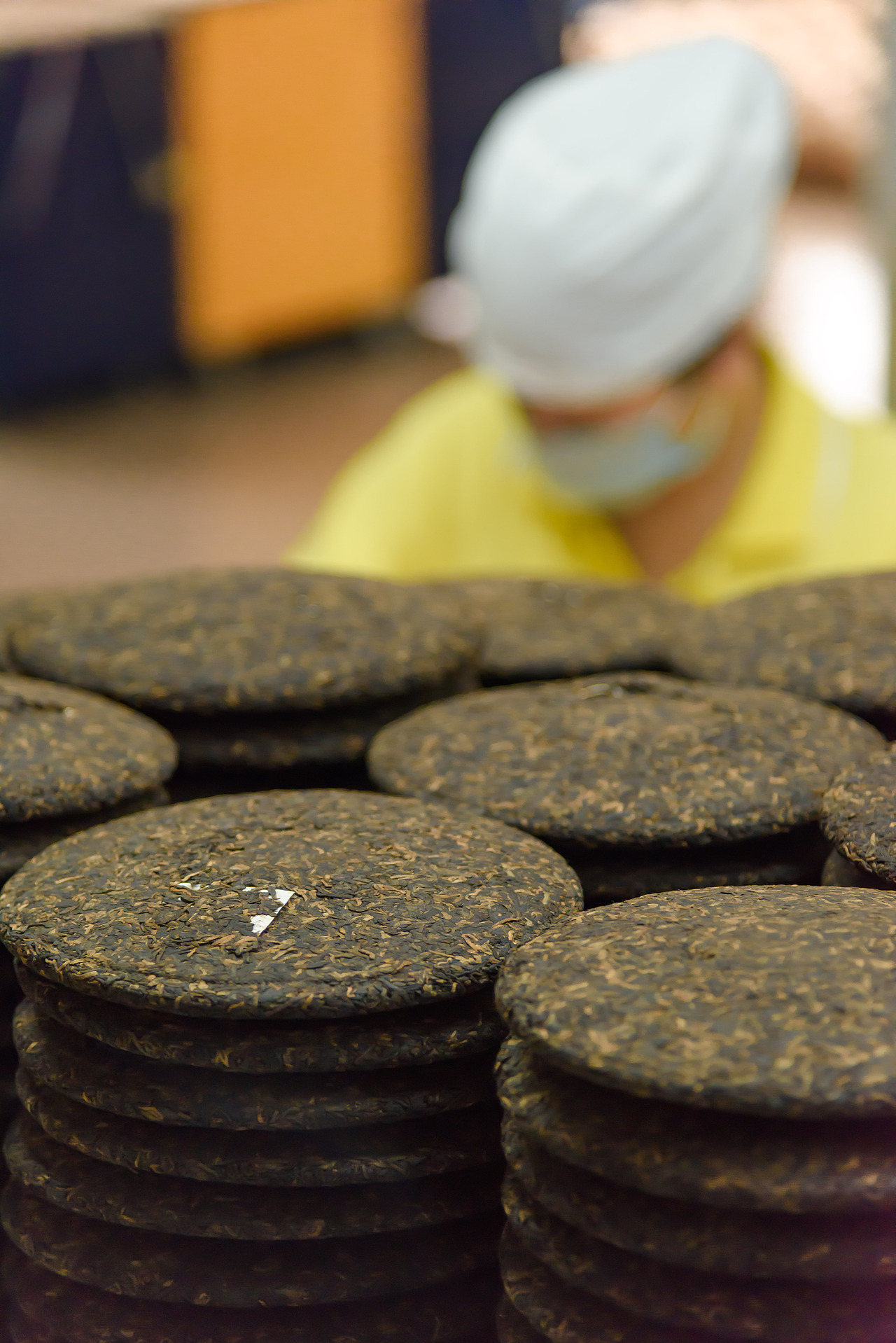 2019云南西双版纳茶之旅