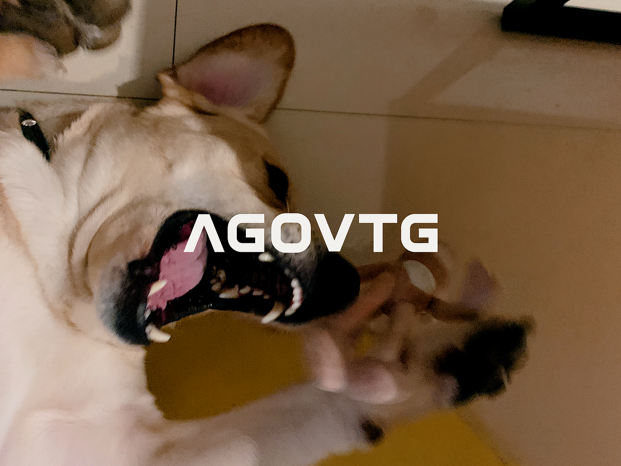 2020-21（图ZMjk2NTYwNDQ4） - 其他UI - 站酷设计师大表狗原创素材 - 站酷ZCOOL