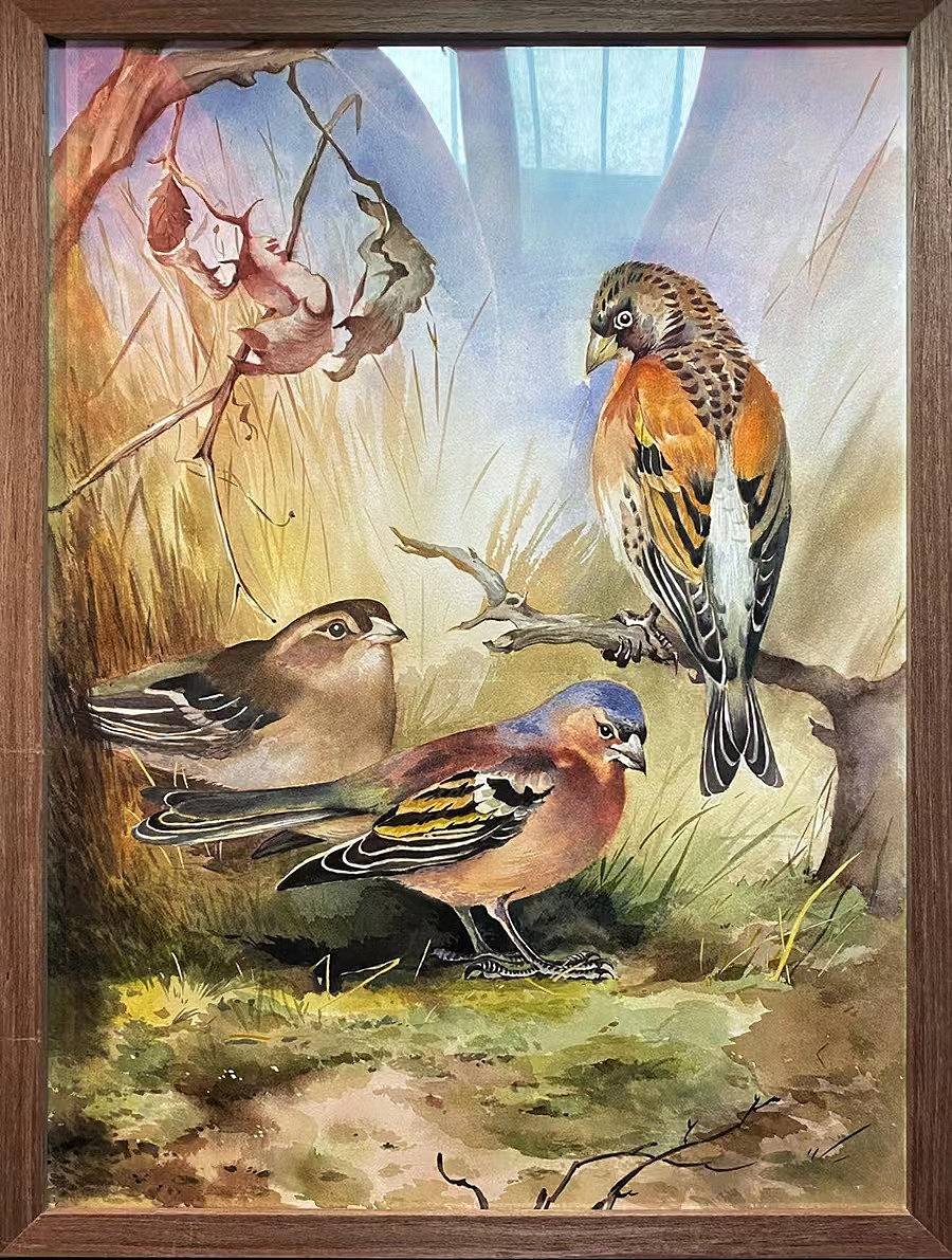 断断续续画过的一些纯手绘复制画（图ZMzI4MDYwNjk2） - 绘画 - 站酷设计师开心的笑笑原创素材 - 站酷ZCOOL