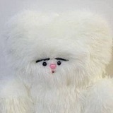 小狗托比的头像