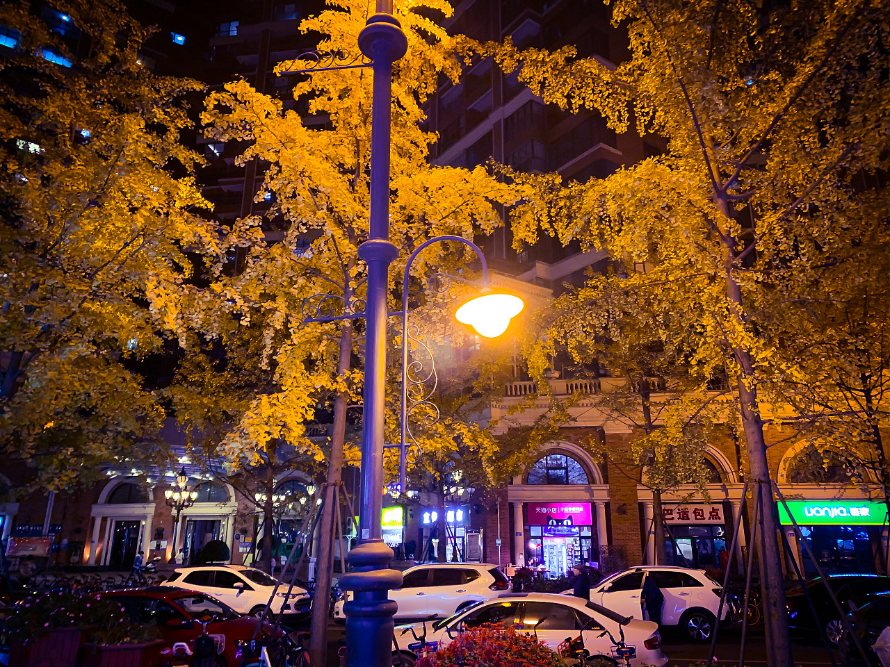 夜灯下的银杏树叶格外动人