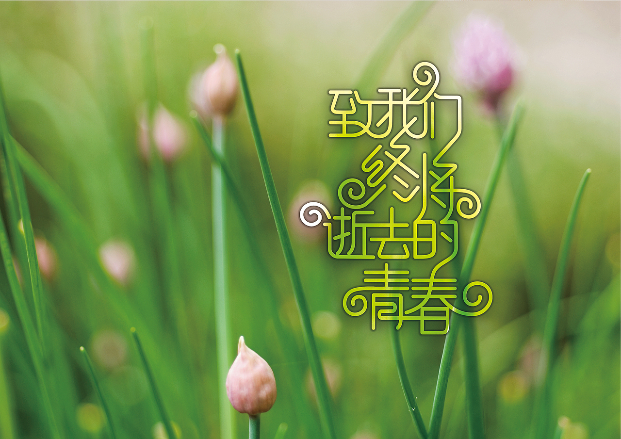 致我们终将逝去的青春字体设计