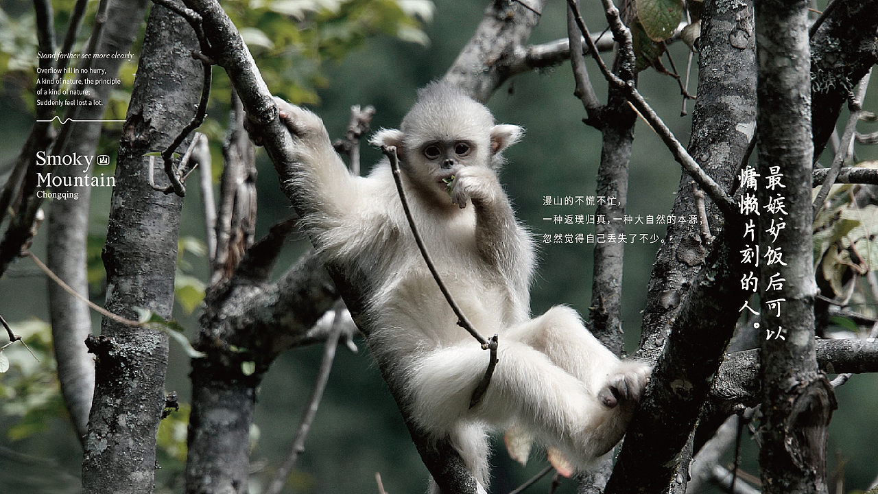 餐饮品牌 餐饮VI  餐饮vi VI设计 烤肉店VI设计 烤肉VI