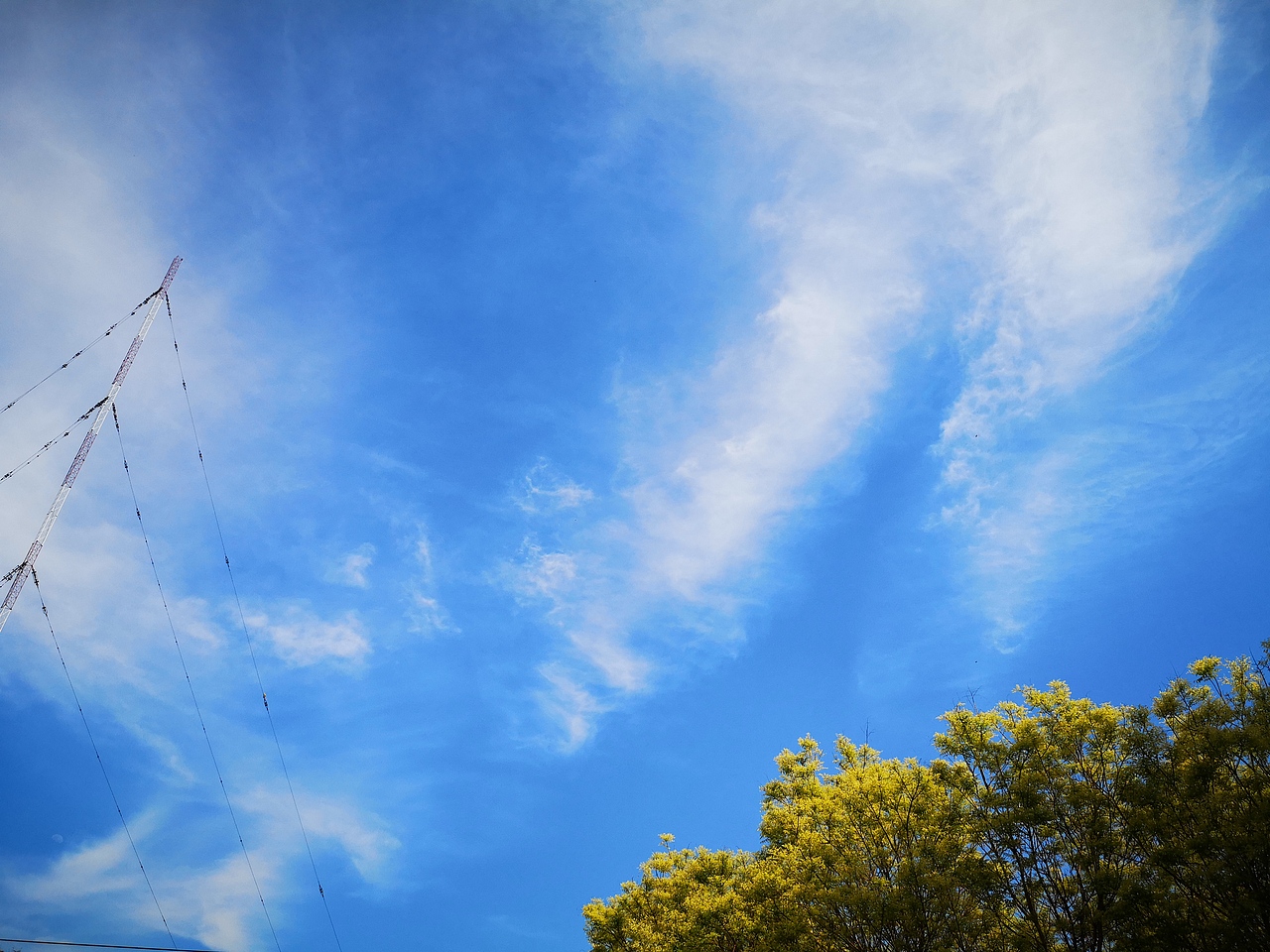 xiliuhu公園（圖ZMTU0MjU5MDEy） - 風(fēng)光攝影 - 站酷設(shè)計(jì)師ciliy小白原創(chuàng)素材 - 站酷ZCOOL