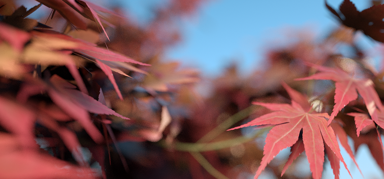 octane單幀渲染（圖ZMTA4NzA4NjY0） - Motion Graphic - 站酷設(shè)計(jì)師xue作品集原創(chuàng)素材 - 站酷ZCOOL