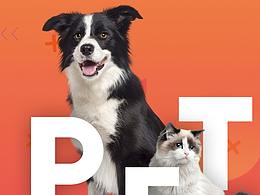 请善待我的朋友 公益短视频