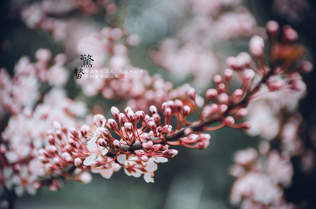 惊蛰（图ZOTYyMTE5MjQ=） - 人像摄影 - 站酷设计师空谷客原创素材 - 站酷ZCOOL