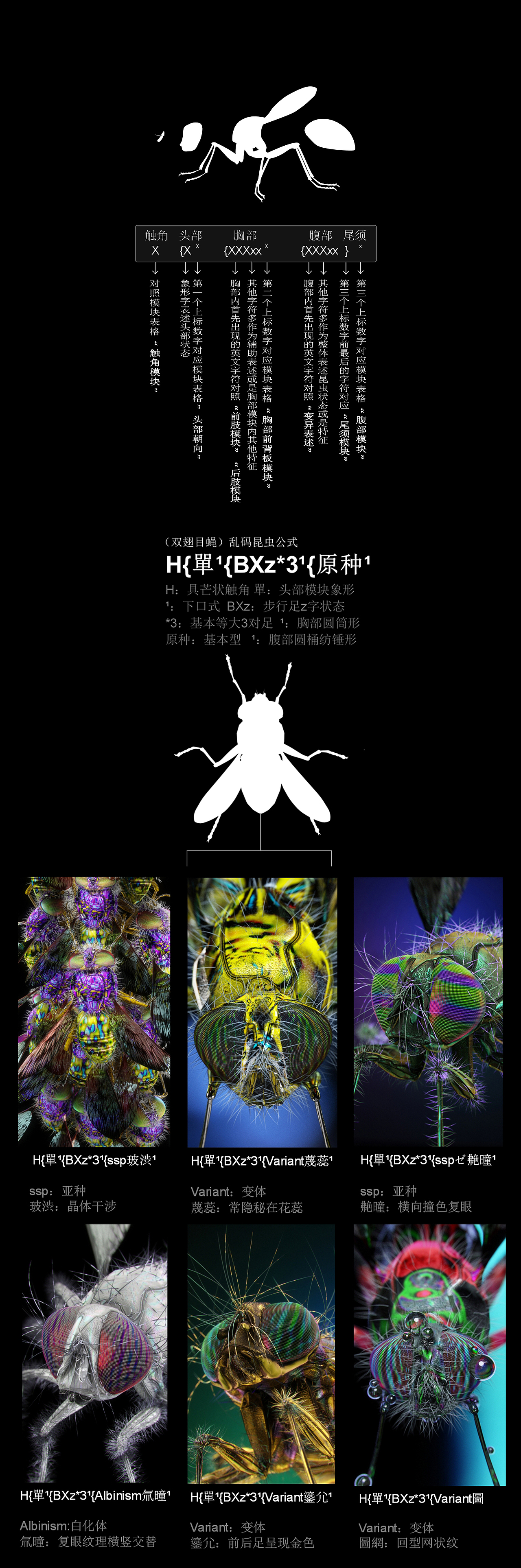 Digital Phanerozoic-亂碼昆蟲學（图ZMTc5OTUyMjUy） - 人物/生物 - 站酷设计师大悲宇宙原创素材 - 站酷ZCOOL