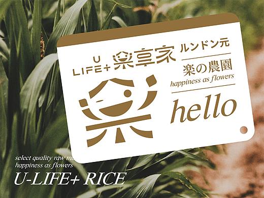 楽享家大米-入选《创意呈现VIII》