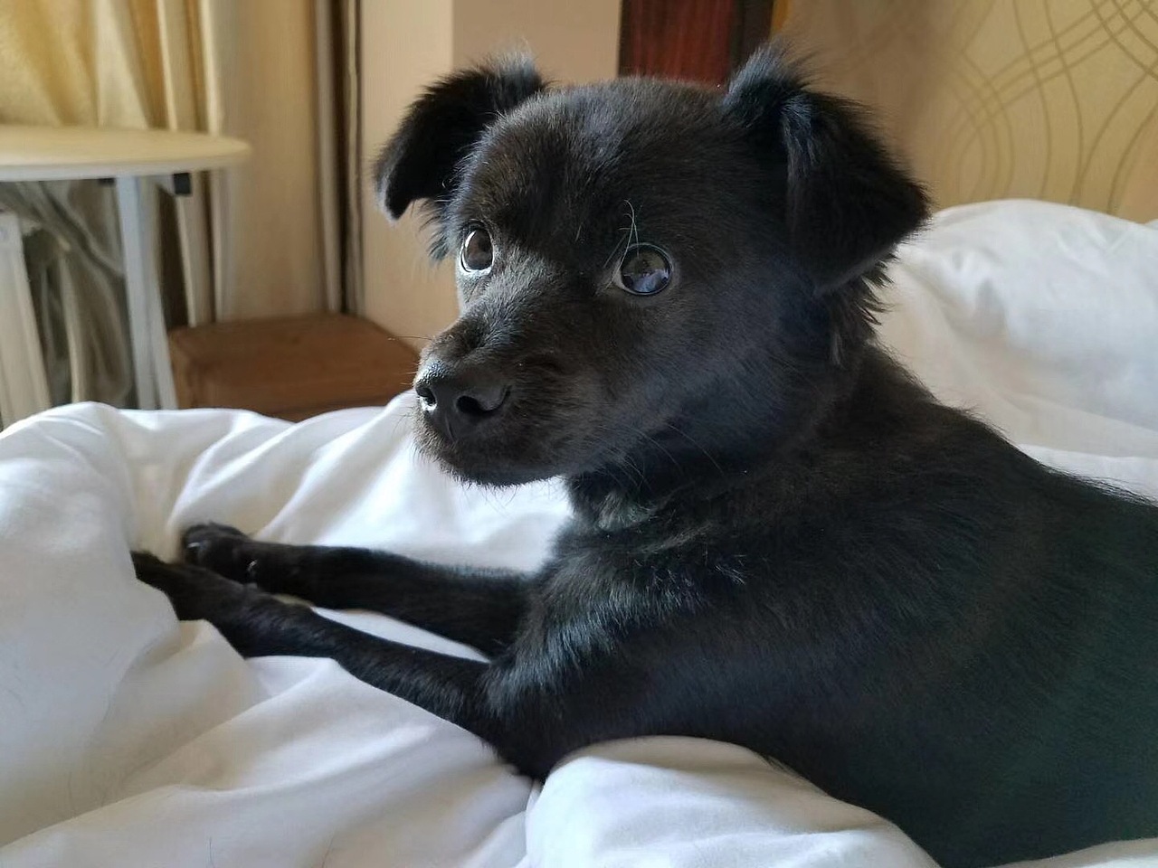 随拍（图ZMTAyODc0MTQ0） - 风光摄影 - 站酷设计师hei_rino原创素材 - 站酷ZCOOL