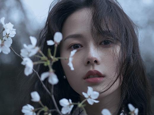 樱花飘落时