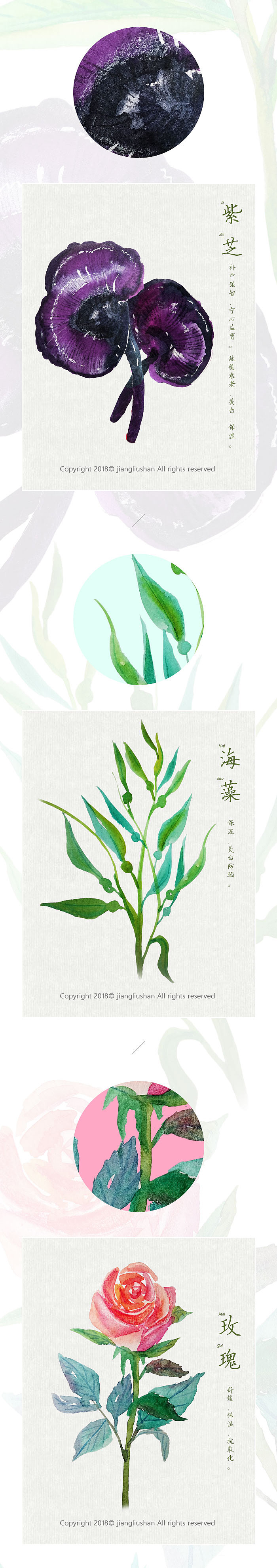植物/本草每日一练2