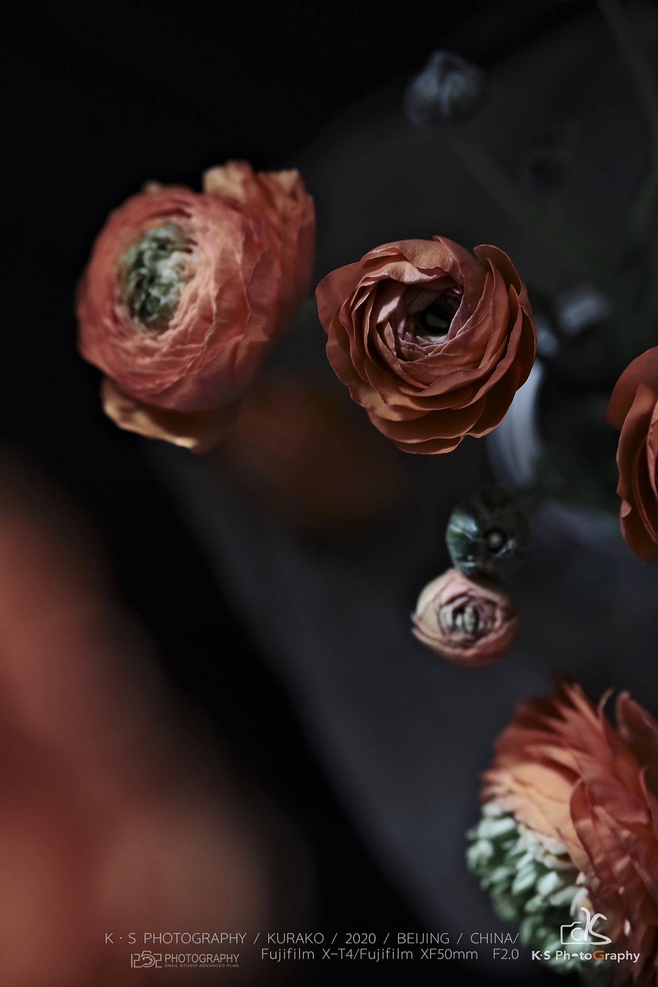 1252第87轮约拍#橙色#