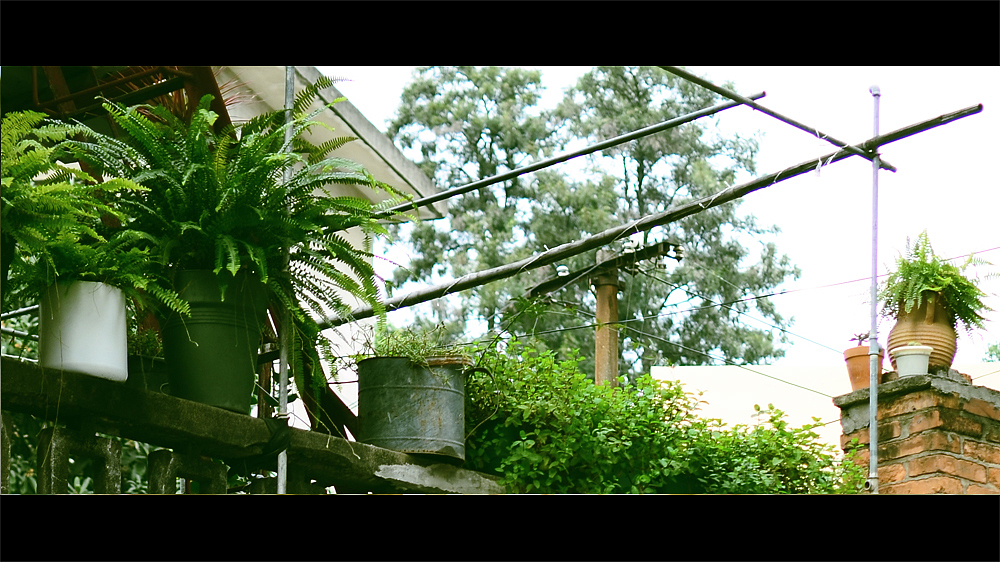 长镜头越拉越远越拉越远 事隔好几年