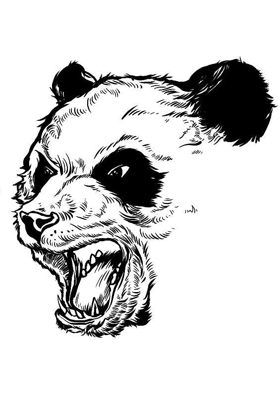 熊猫风暴主题创作(PANDA STORM)
