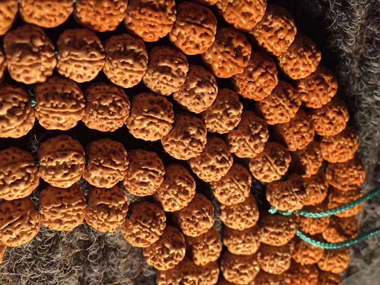 龙掌柜——爆肉梅花蜂窝双龙小金刚