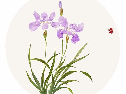 莳花。十九