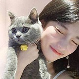 喵小姐LBJ的头像