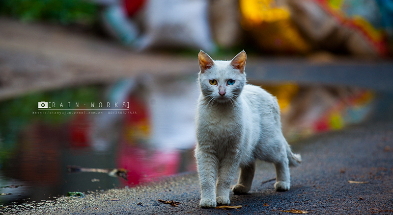 20140606雨后的大趴