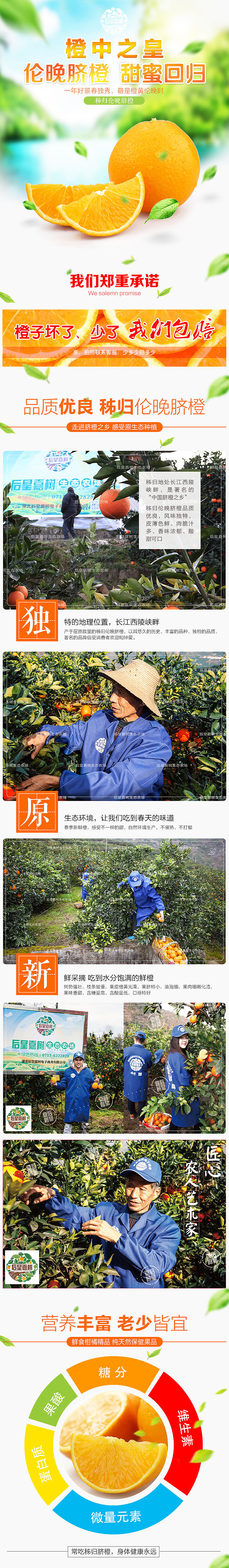 伦晚 橙子详情页（图ZODAzNTU1NTY=） - 电商 - 站酷设计师似燕归来原创素材 - 站酷ZCOOL
