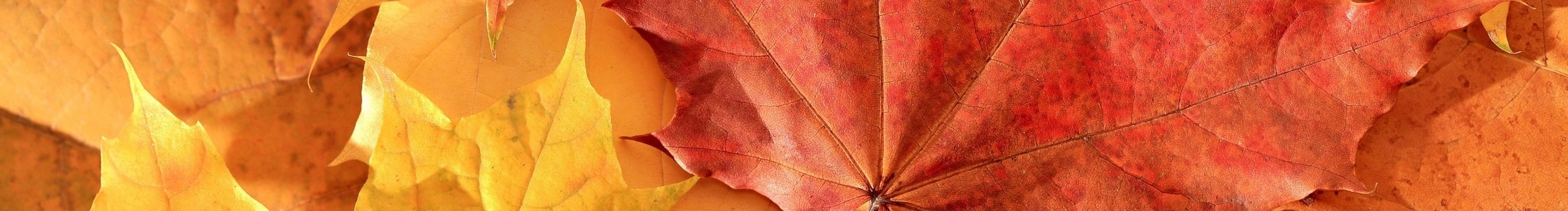 Huang_HJ的個(gè)人主頁（封面預(yù)覽） - 主頁封面設(shè)置 - 站酷設(shè)計(jì)師Huang_HJ原創(chuàng)素材 - 站酷ZCOOL