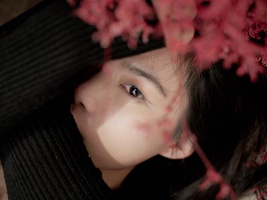 体  ·  感   