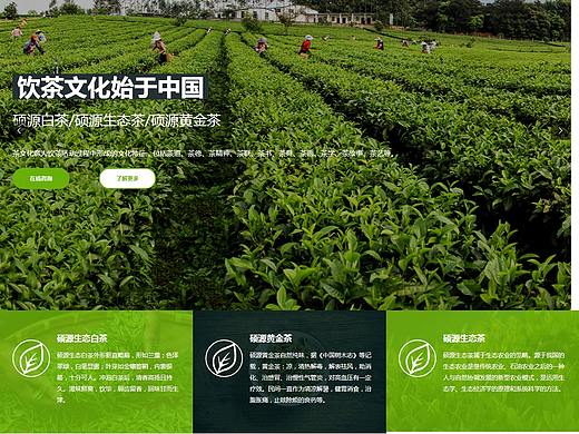 芜湖市硕源农业综合开发有限公司网站项目