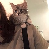 姜姜丶的头像