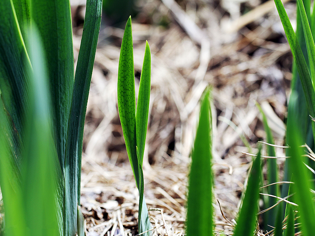 一些随意拍摄的照片，有旅途的、有生活过的城市（图ZMjMzNDc5NDA=） - 风光摄影 - 站酷设计师Chopin萧邦原创素材 - 站酷ZCOOL