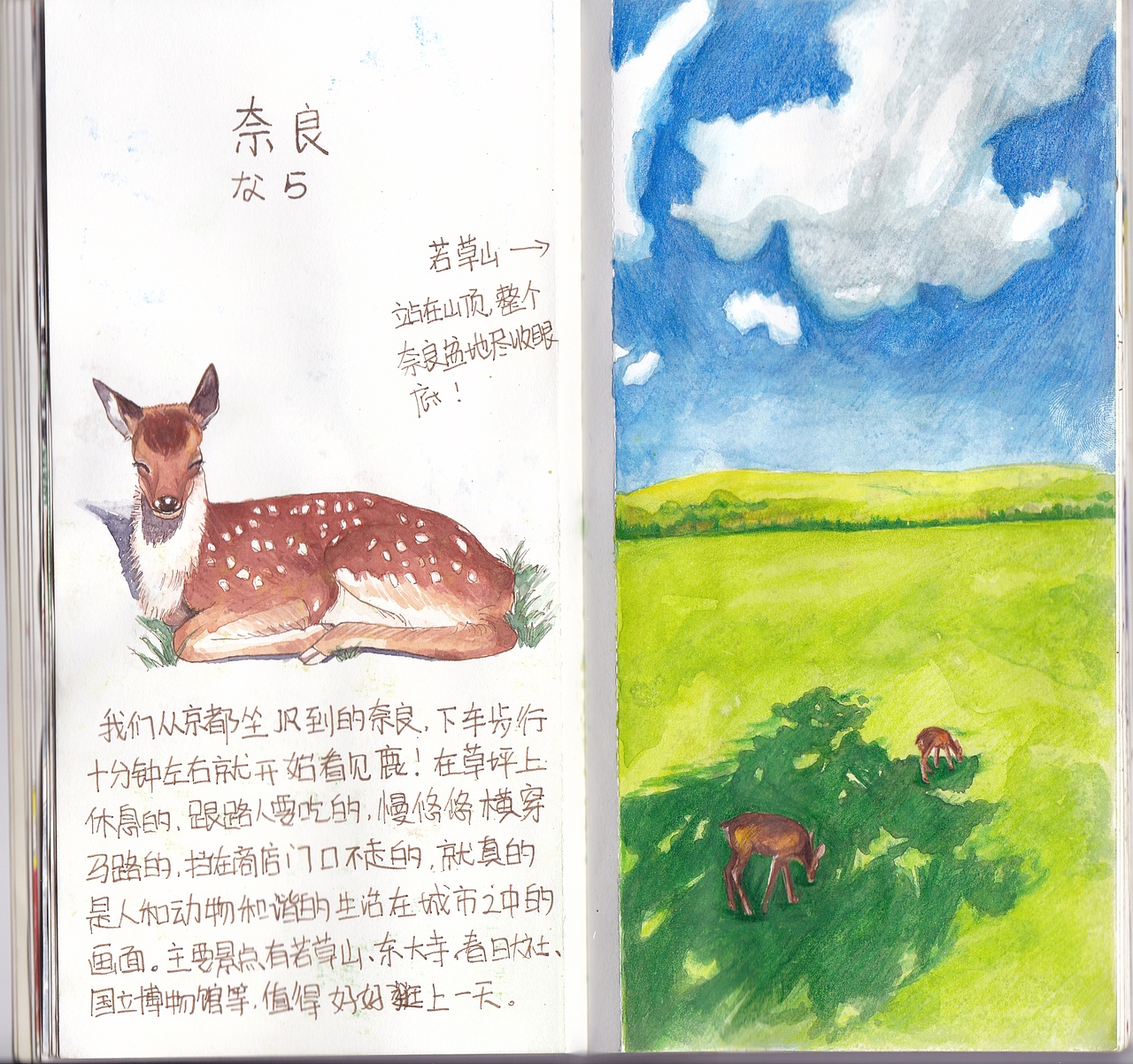 日本旅行手绘（图ZMjA0MjI1Njg0） - 艺术插画 - 站酷设计师利狗狗原创素材 - 站酷ZCOOL