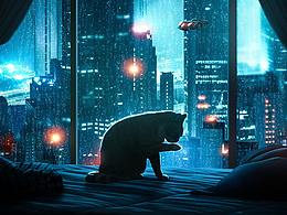 賽博朋克的雨夜