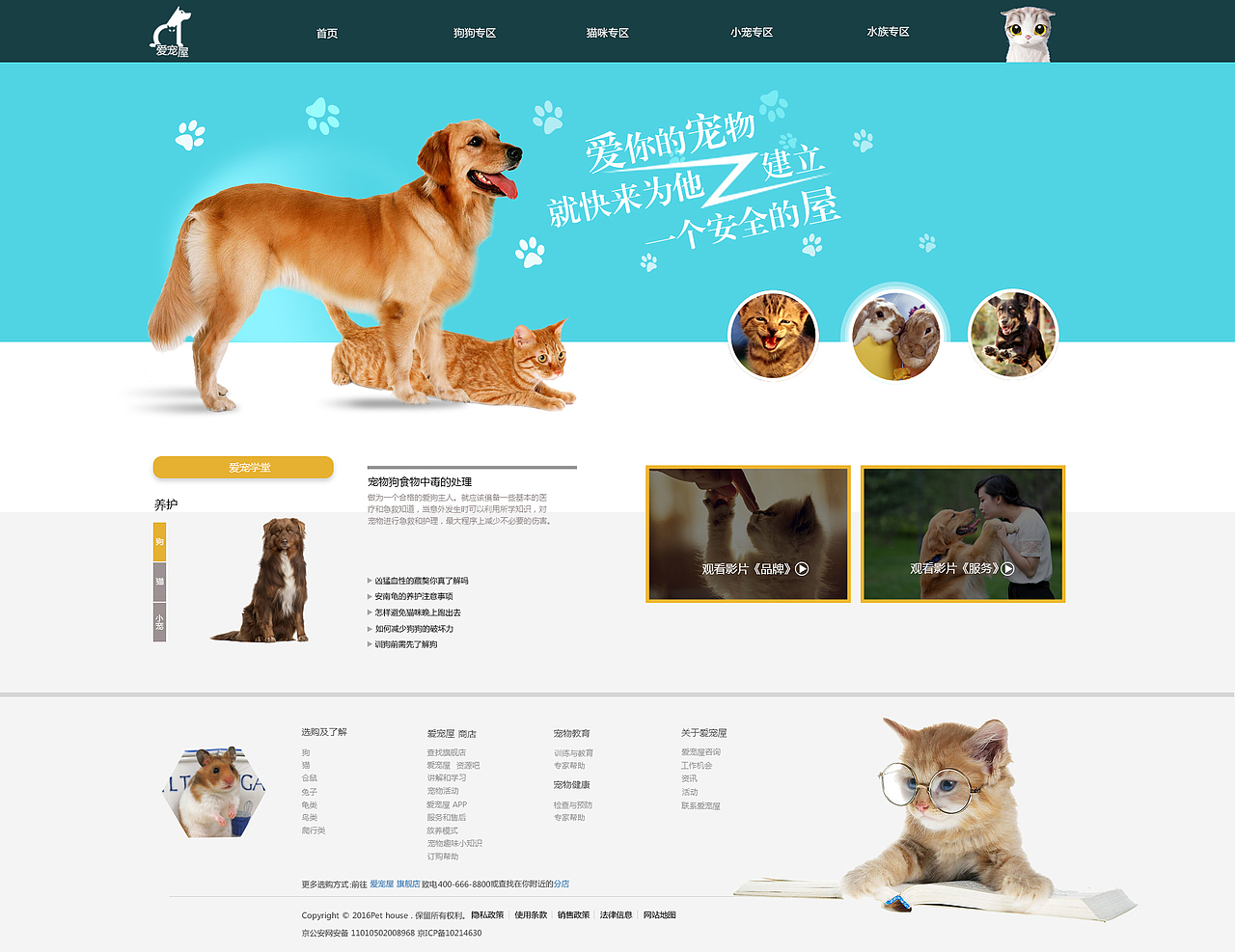 宠物网站首页|网页|企业官网|七大罪_原创作品-站酷zcool