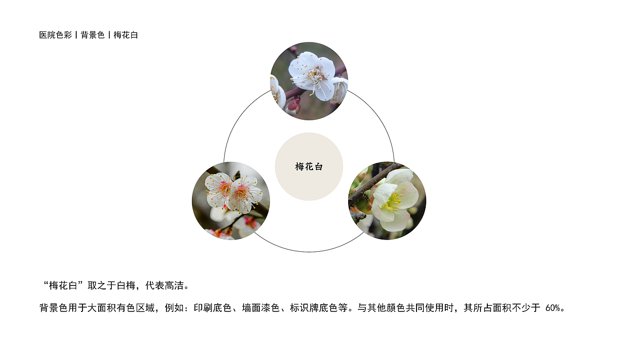南雄市中医院logo设计提案（图ZMTA3NTE2NjYw） - Logo - 站酷设计师li10602原创素材 - 站酷ZCOOL